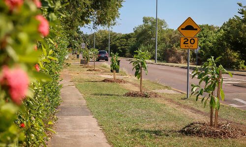 street verge in Rapid Creek suburb