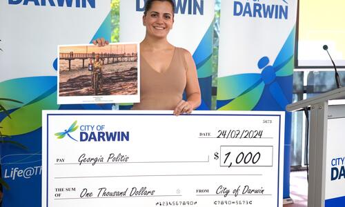 sister city awards visual competition