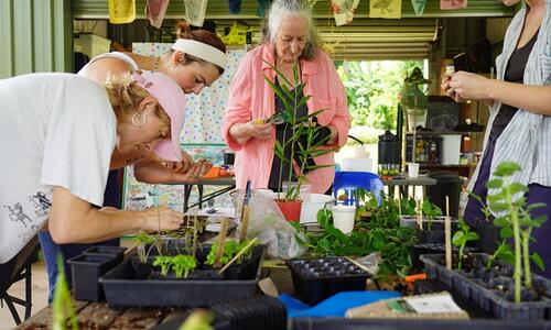 City of Darwin is inviting the community to help shape a more sustainable future, with funding available for projects that support environmental outcomes and climate resilience