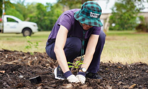 City of Darwin is hosting a Community Planting Day at Holzerland Greenbelt