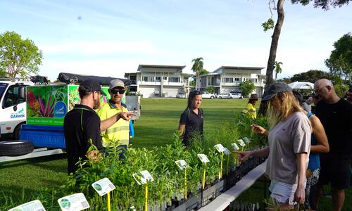 Free native plants available for Darwin residents 