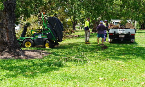 Caution urged around large and damaged trees  