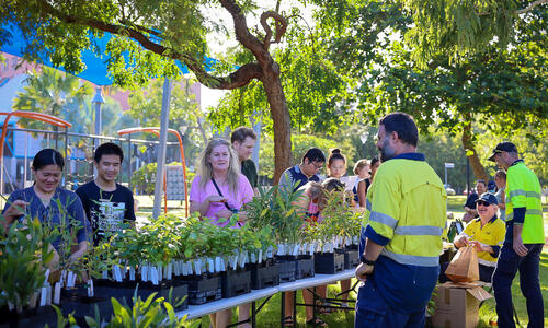 Free native plants available for Darwin residents