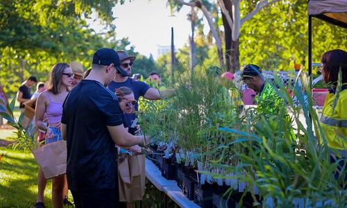 Darwin residents have the chance to snap up some free native plants thanks to City of Darwin’s popular native plant giveaway program