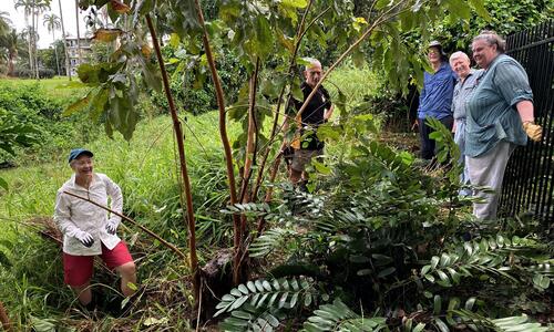 Five local organisations will deliver projects aimed at improving Darwin’s environment and building community resilience through City of Darwin’s 2026/27 Environment and Climate Change Grants Program