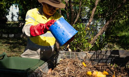 City of Darwin is pleased to announce the recipients of the 2024/25 Environment and Climate Change Grants, with funding supporting local projects that deliver positive environmental outcomes for the Darwin community