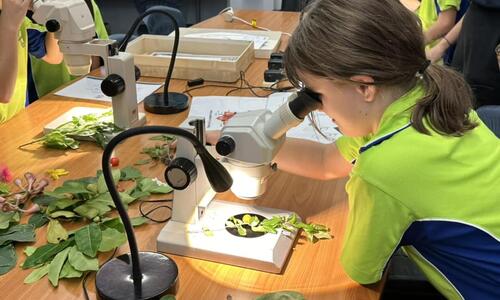 City of Darwin is supporting the next generation of environmental champions by sponsoring BioEd, delivered by Landcare NT