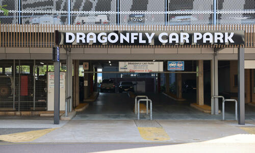 Dragonfly Car Park 