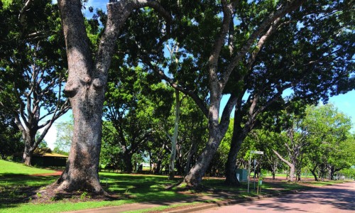 Bagot Park