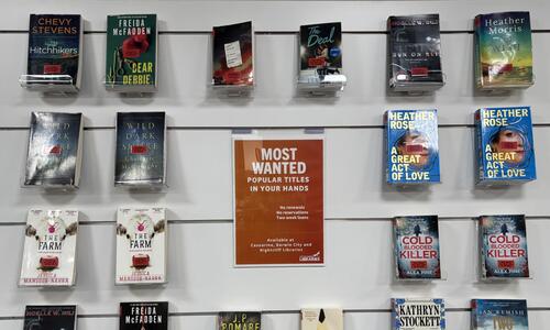 image of most wanted books