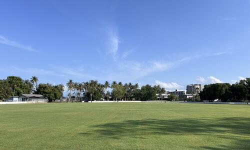 Removal of ageing coconut trees at Kahlin Oval 