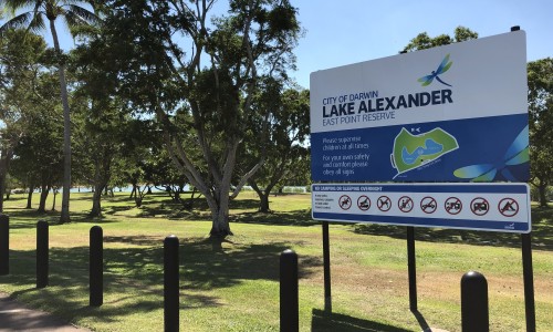 Lake Alexander closed for swimming