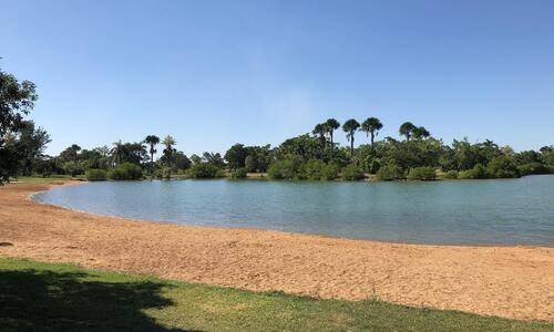 Lake Alexander has reopened for swimming and other recreational water activities as of this afternoon, Thursday 17 April 2025.