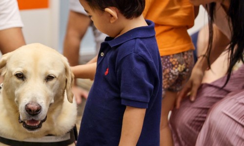 image of people around a therapy dog