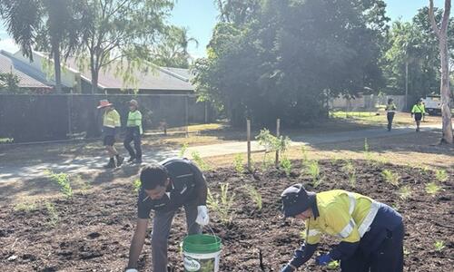City of Darwin is inviting residents to roll up their sleeves and help create a greener Anula at a Community Planting Day on Saturday 10 October 2026.