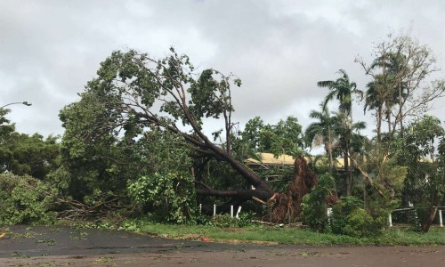 City of Darwin - News article - Green Waste on Verges