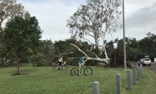 City of Darwin - News article - Update on Council Services Post Cyclone Marcus