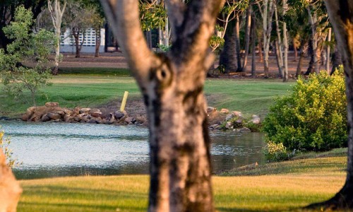 City of Darwin - News article - Lake Alexander is Open