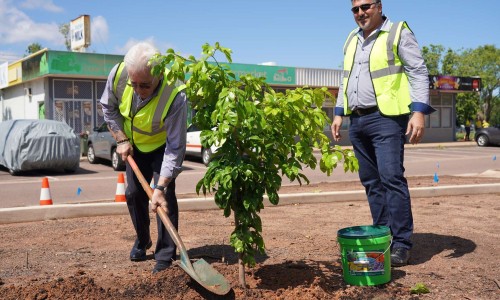 City of Darwin - News article - Suburban Streetscape Beautification Progam Begins