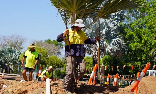 City of Darwin - News article - $4.6M for Suburban Beautification and Upgrades 