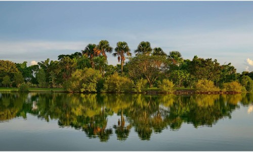 City of Darwin - News article - Lake Alexander closed to all water activities 