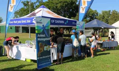City of Darwin - News article - Free Micro-Chipping at Pets Day Out Event