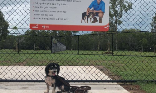City of Darwin - News article - Lakeside Drive Dog Park Opens 