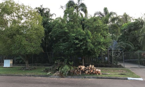 City of Darwin - News article - Free Green Waste Disposal Post Cyclone