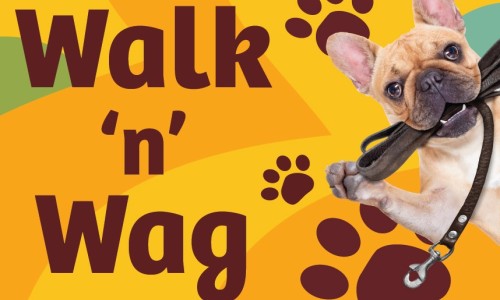 City of Darwin - News article - Come and Join Walk ‘N Wag