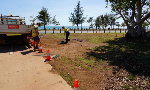 City of Darwin - Project - NIghtcliff Foreshore Tree Planting