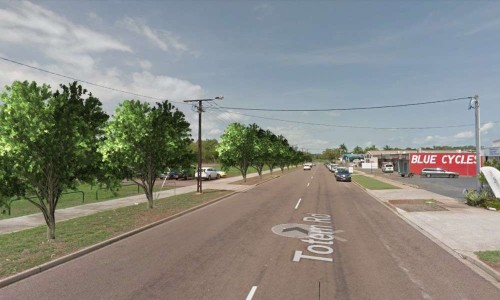 City of Darwin - Project - Totem Road Tree Planting