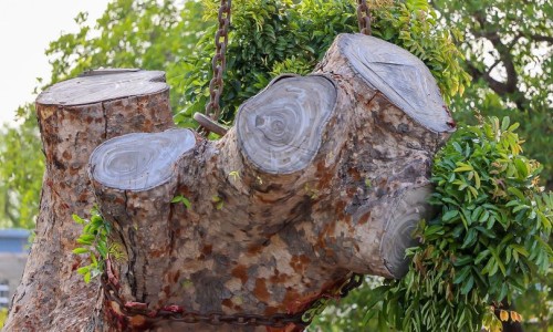 Tree removal
