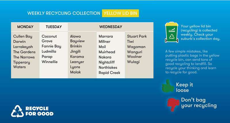 Multi-Dwelling Bin Collection Days - Yellow lid bin